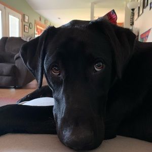 Meet your Posher, Kaitlin